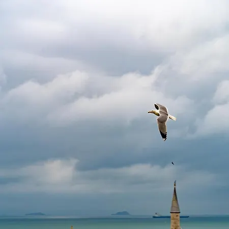 Miss Royal & Hotel 3*