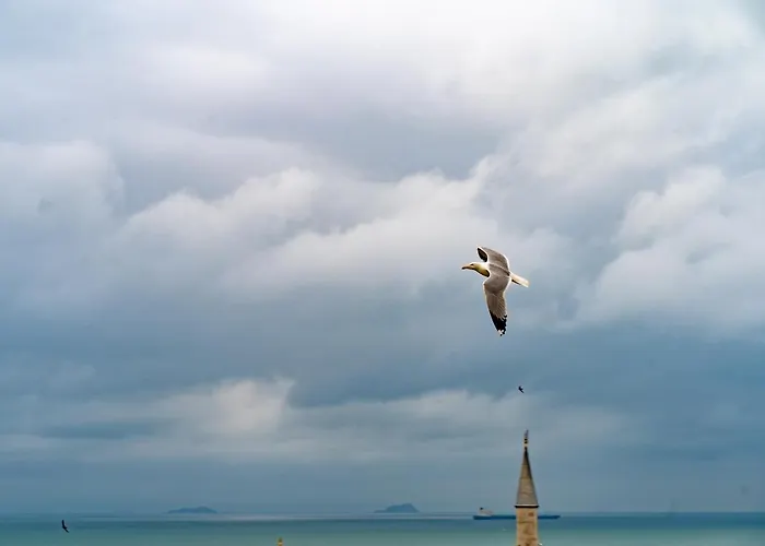 Miss Royal & 酒店 3*